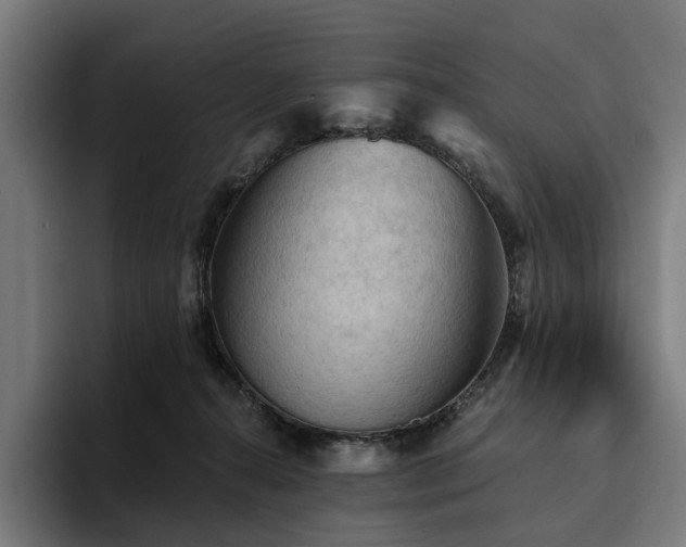 X0000094810272200711161513