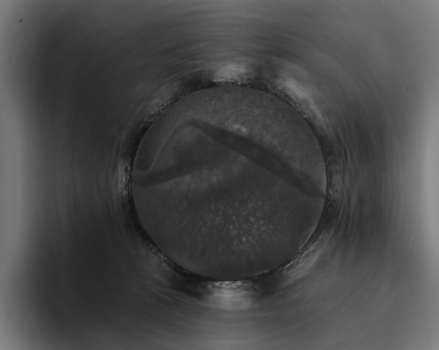 X0000094810273200711161513