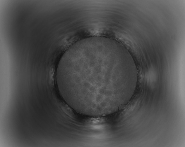 X0000094810275200711161514