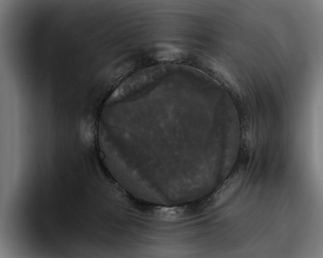 X0000094810277200711161514