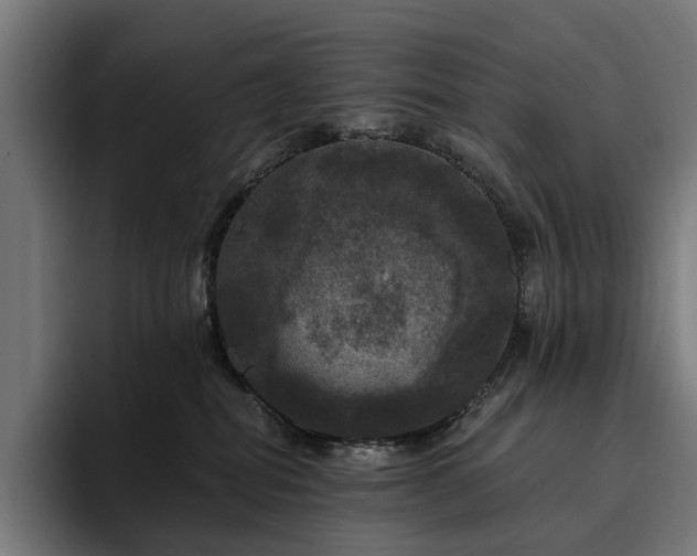 X0000094810282200711161514