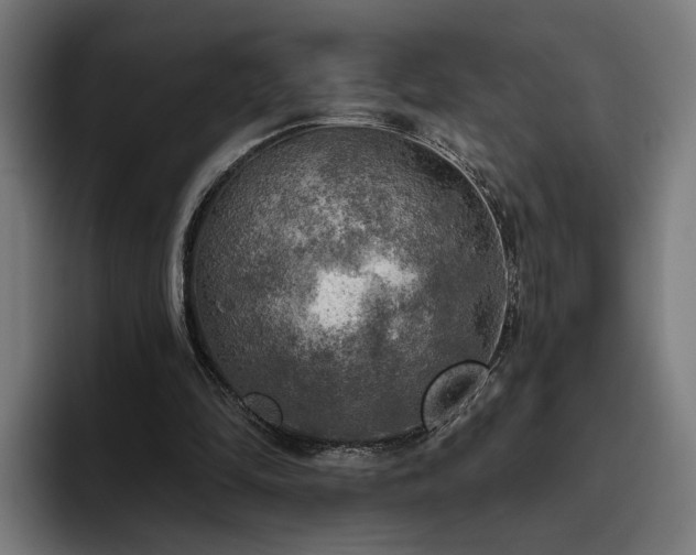 X0000094810294200711161513