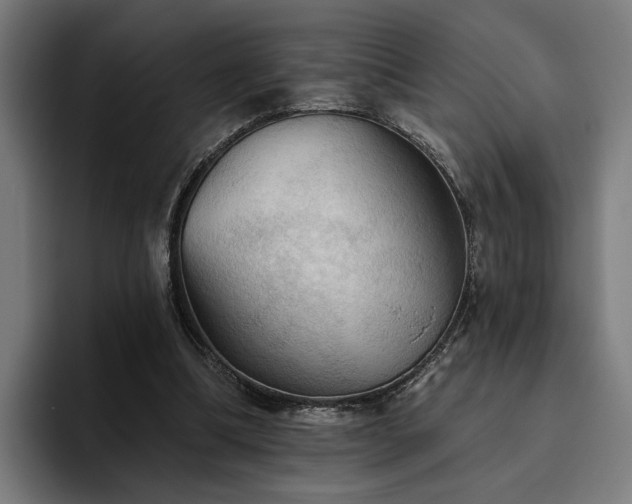 X0000094810298200711161513