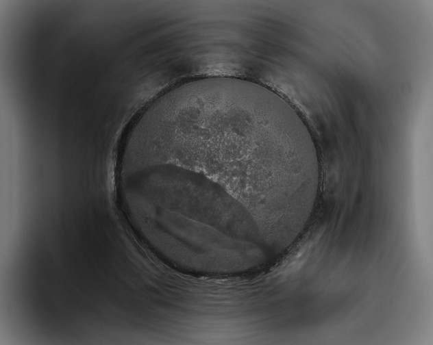 X0000094810299200711161513