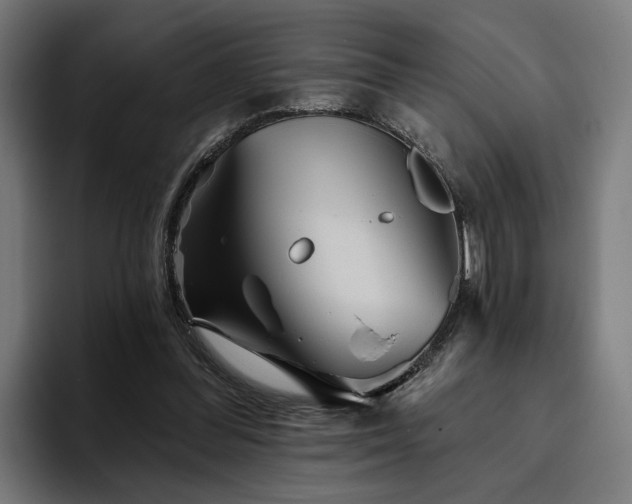 X0000094810300200711161513