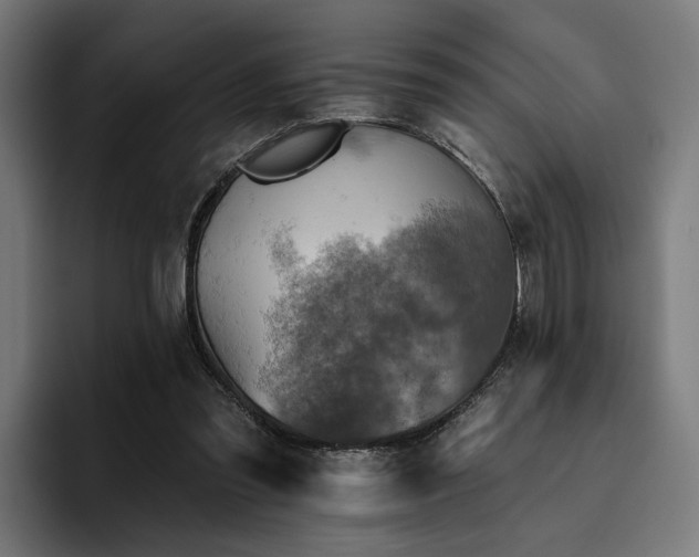 X0000094810301200711161513