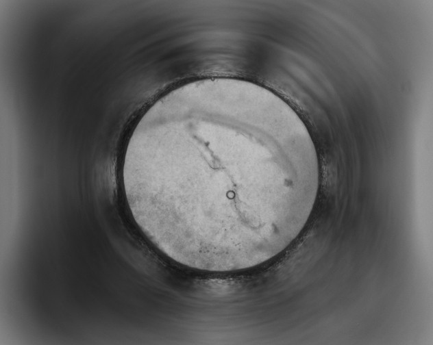 X0000094810302200711161513