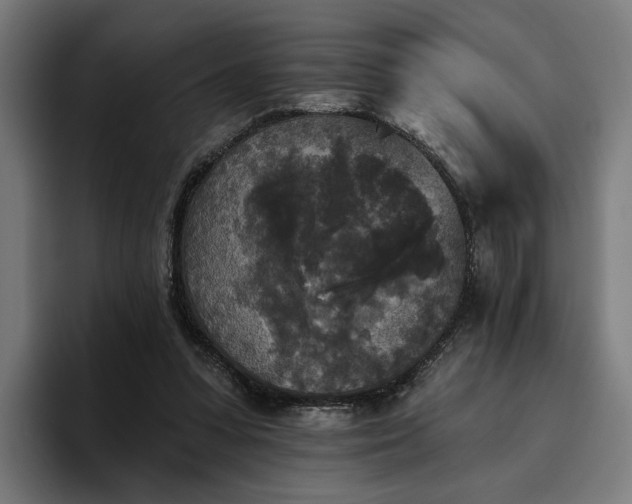 X0000094810303200711161513