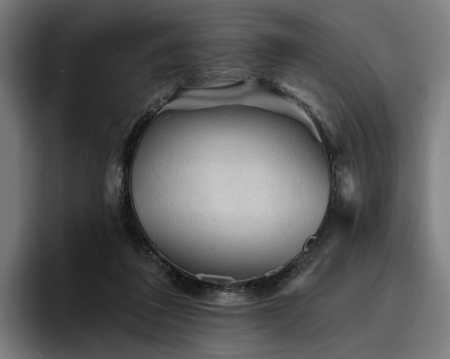 X0000094810308200711161513