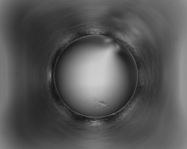 X0000094810310200711161513