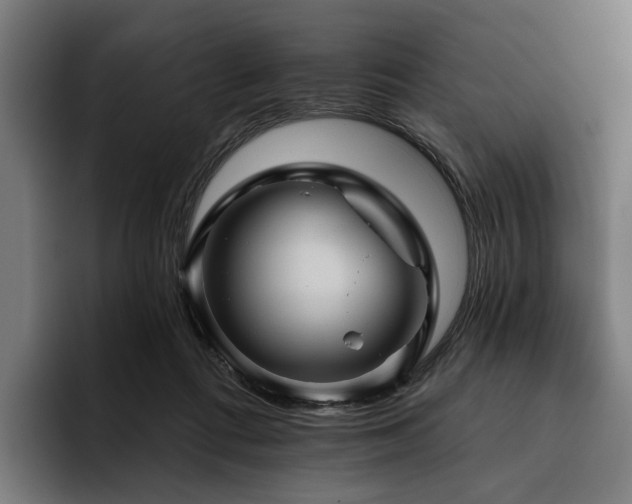 X0000094810312200711161513