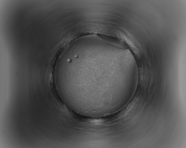 X0000094810313200711161513