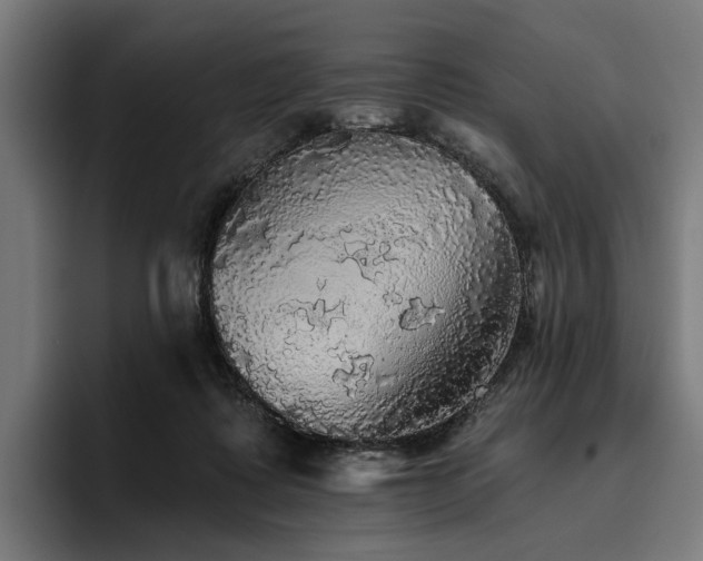 X0000094810315200711161513