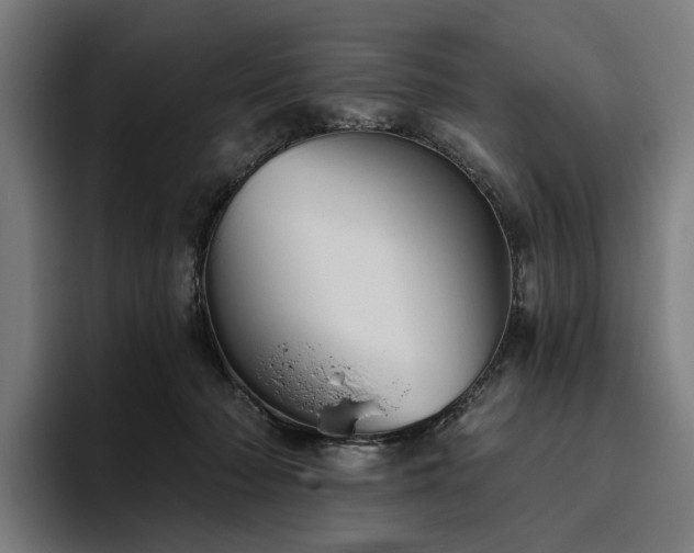 X0000094810318200711161513