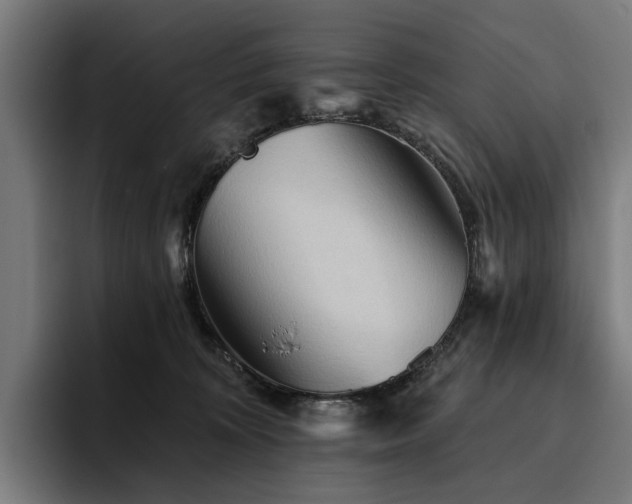 X0000094810324200711161513