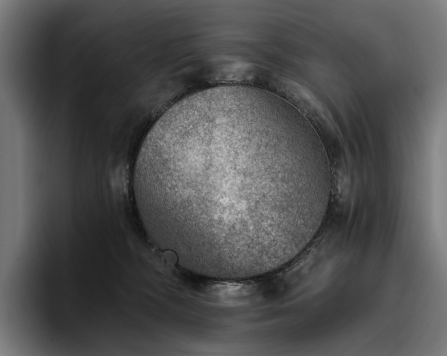 X0000094810326200711161513