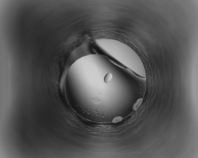 X0000094810328200711161513