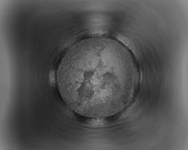 X0000094810335200711161512