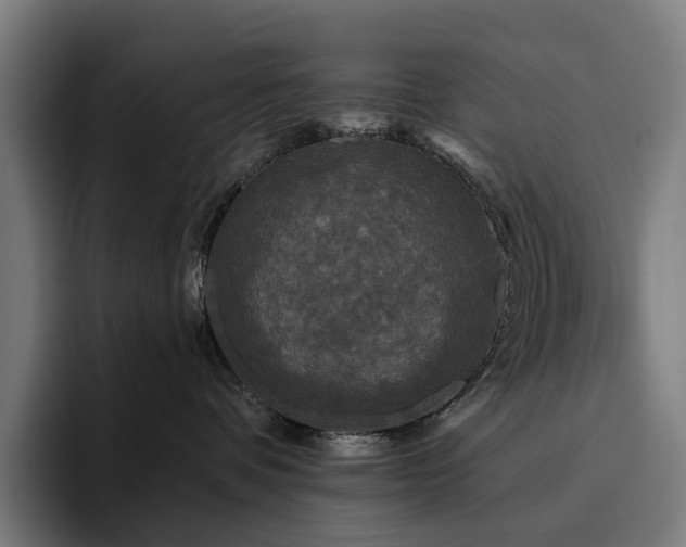 X0000094810336200711161512