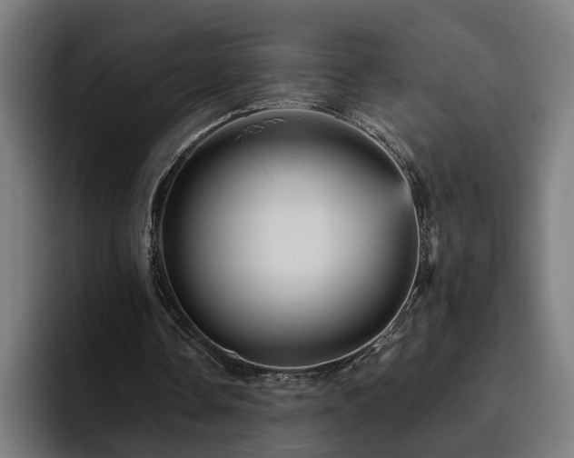 X0000094810338200711161512