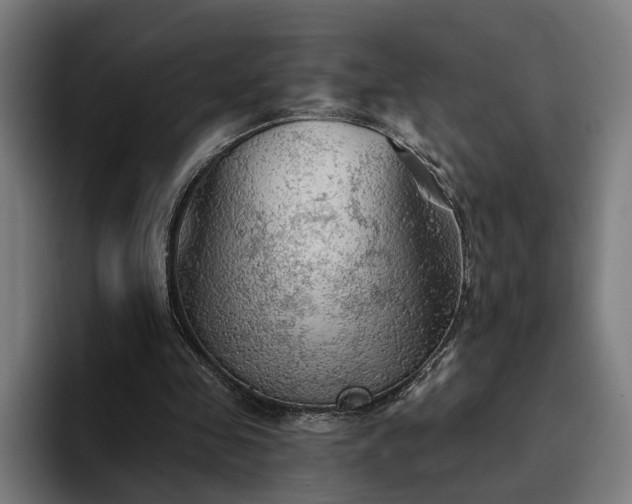 X0000094810341200711161512