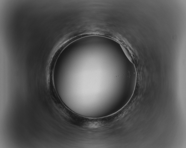 X0000094810344200711161512