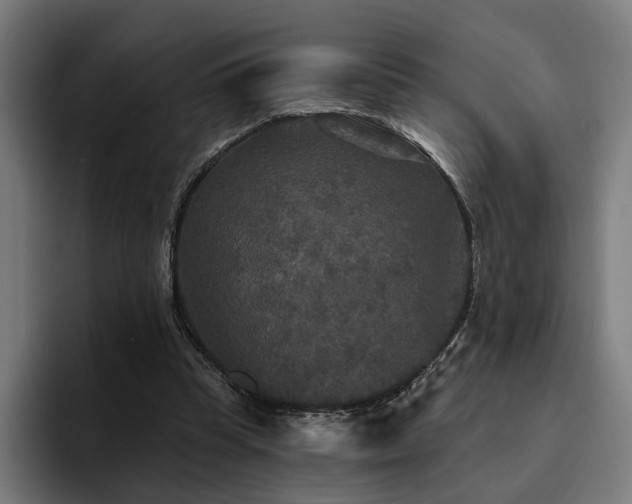 X0000094810345200711161512