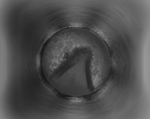 X0000094810347200711161512