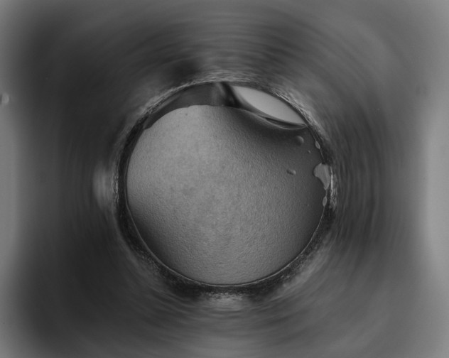 X0000094810348200711161512