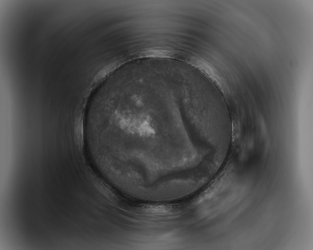 X0000094810349200711161512