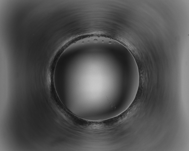 X0000094810350200711161512