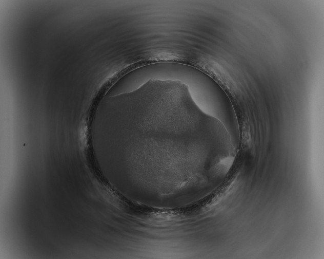 X0000094810351200711161512