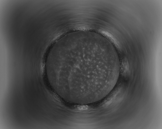 X0000094810355200711161512