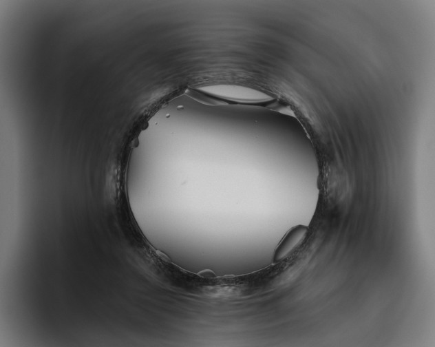 X0000094810356200711161512