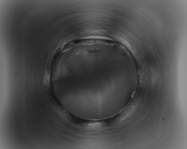 X0000094810357200711161512