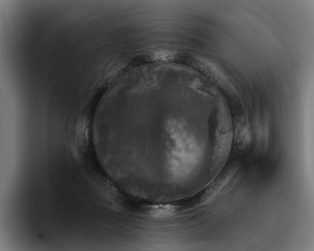 X0000094810363200711161512