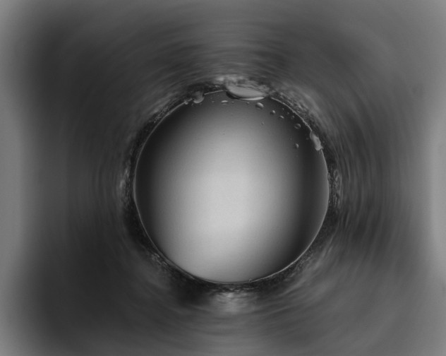 X0000094810364200711161512