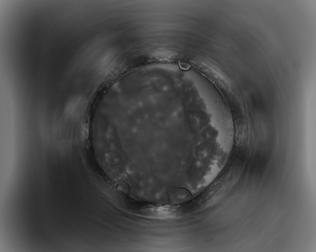 X0000094810365200711161512