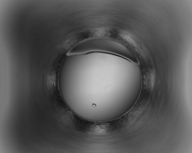 X0000094810368200711161512