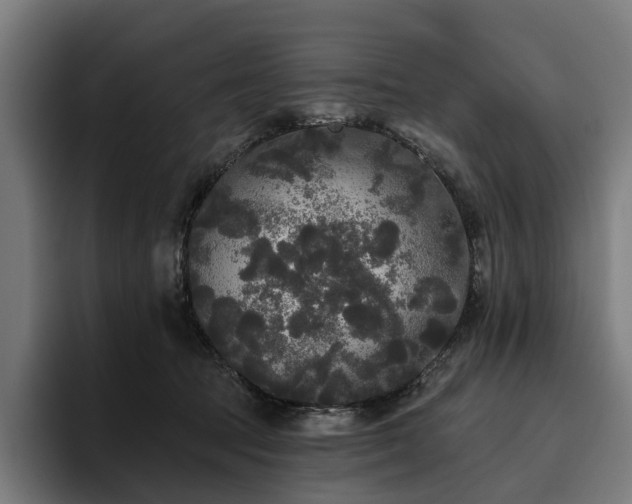 X0000094810369200711161512