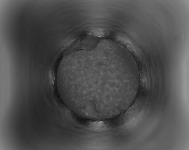 X0000094810374200711161512