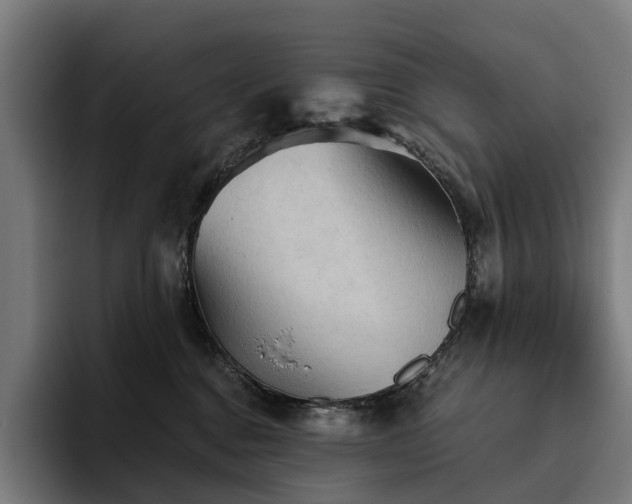 X0000094810376200711161512