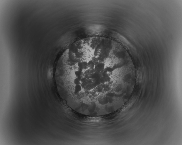 X0000094810377200711161512