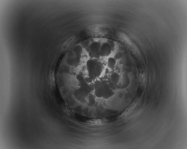 X0000094810381200711161512