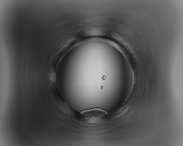 X0000094810384200711161512