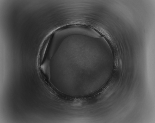 X0000094810388200711161512