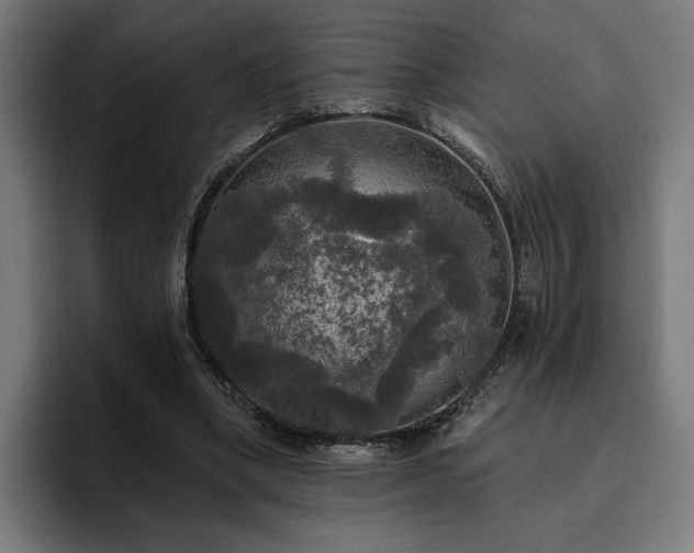 X0000094810394200711161512