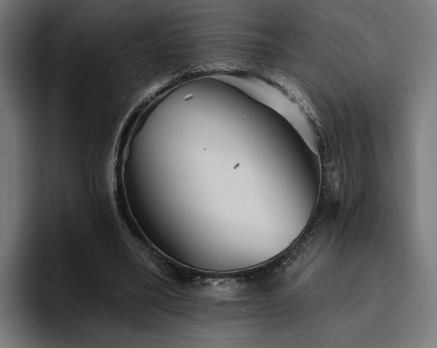 X0000094810395200711161512