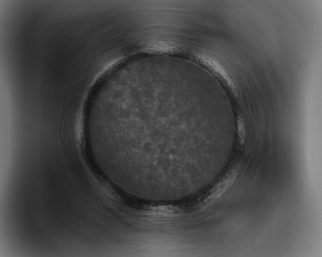 X0000094810396200711161512