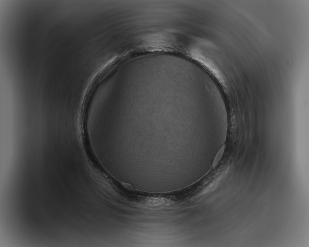 X0000094810399200711161512